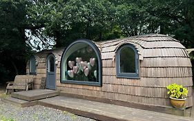 Luxury Woodland Lodge Retreat At Culdees Castle